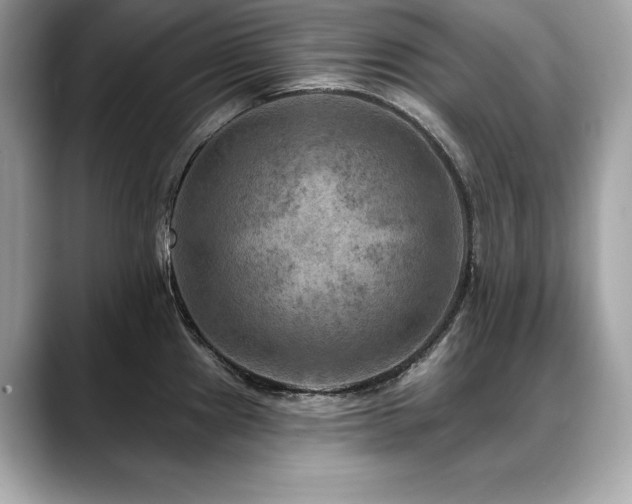 X0000088751241200705311506