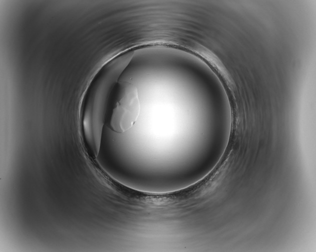 X0000088751242200705311506