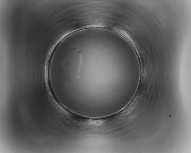 X0000088751243200705311506