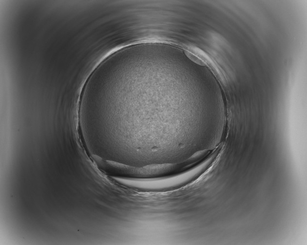 X0000088751244200705311506