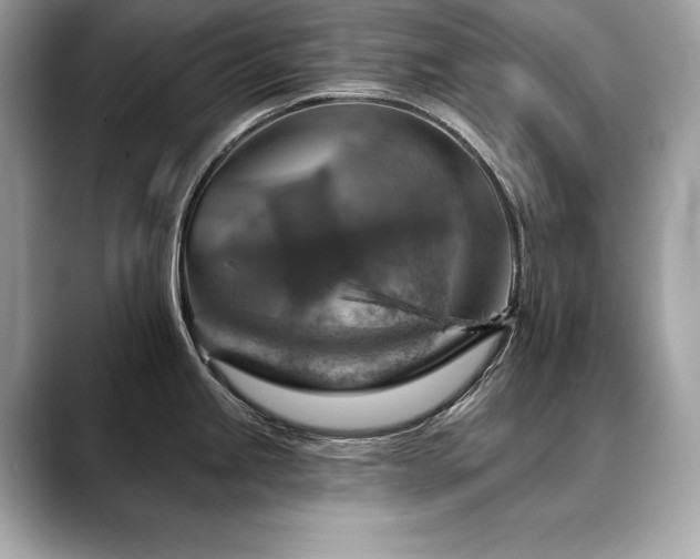 X0000088751245200705311506