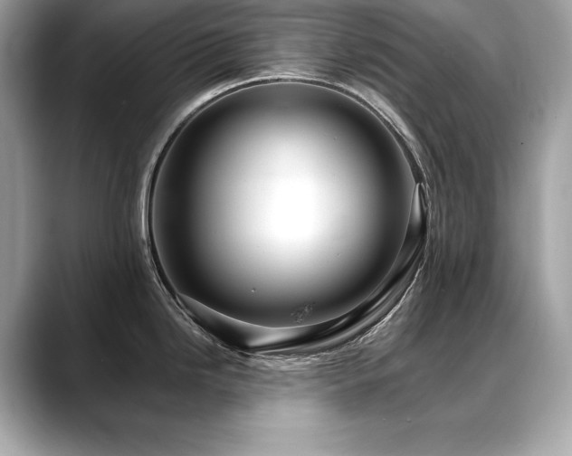 X0000088751246200705311506