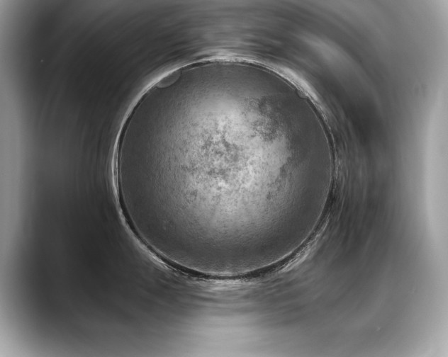 X0000088751247200705311506