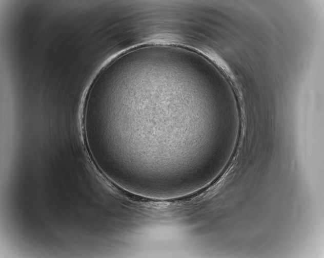 X0000088751248200705311506