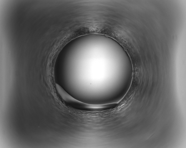 X0000088751249200705311505