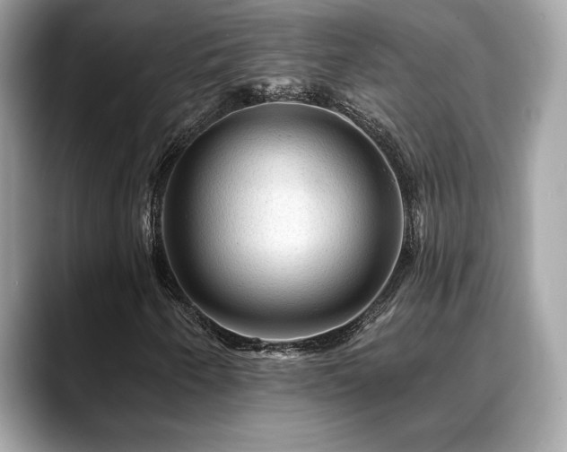 X0000088751250200705311505