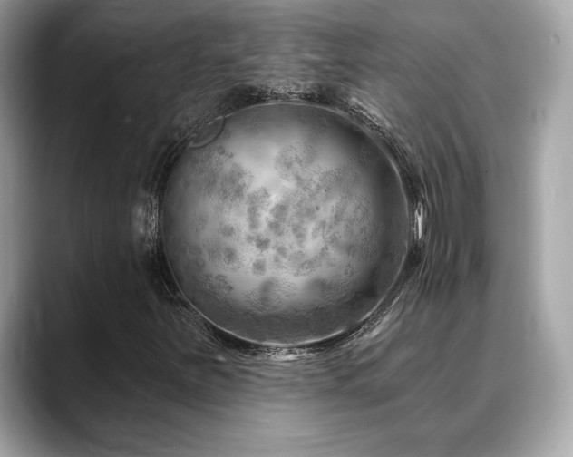 X0000088751251200705311505