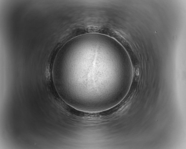 X0000088751252200705311505