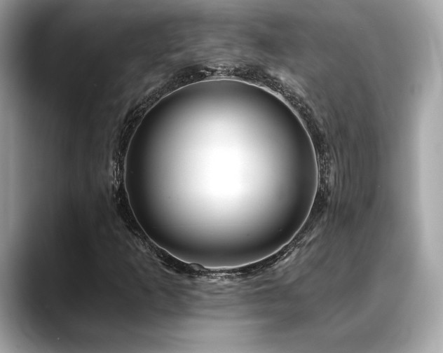 X0000088751253200705311505
