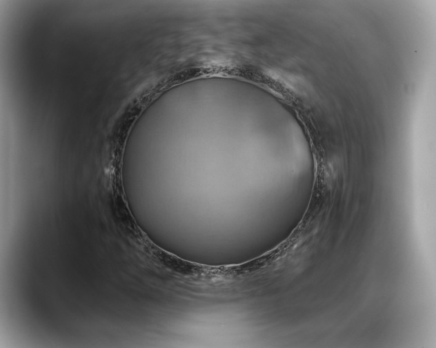 X0000088751254200705311505