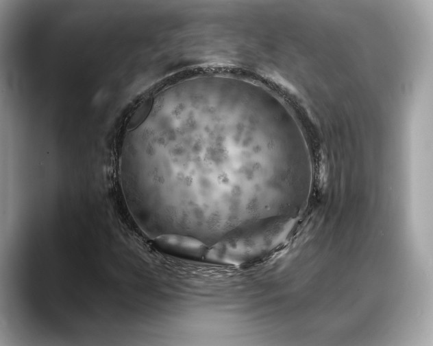 X0000088751255200705311505