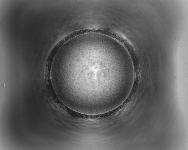 X0000088751256200705311505