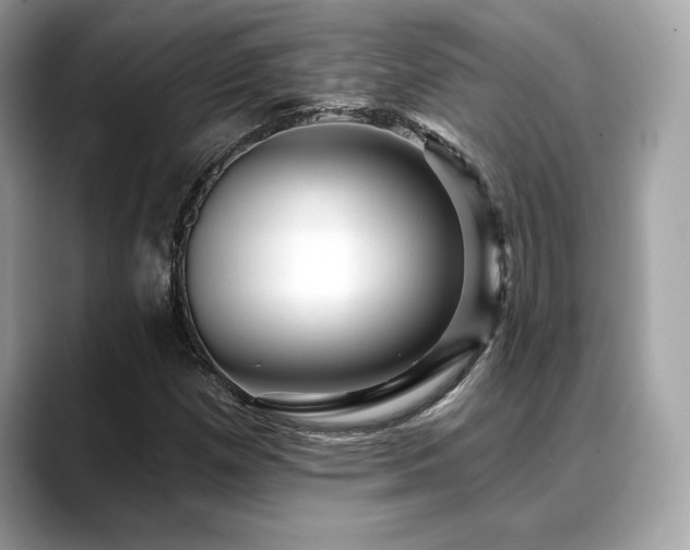 X0000088751257200705311505