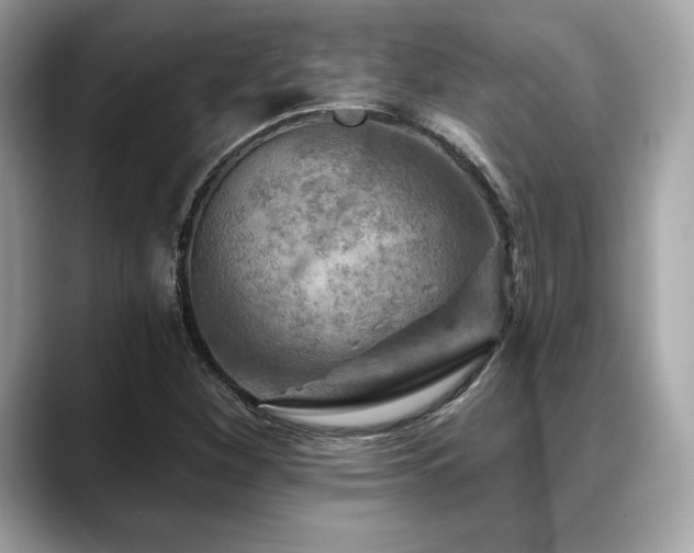 X0000088751260200705311505