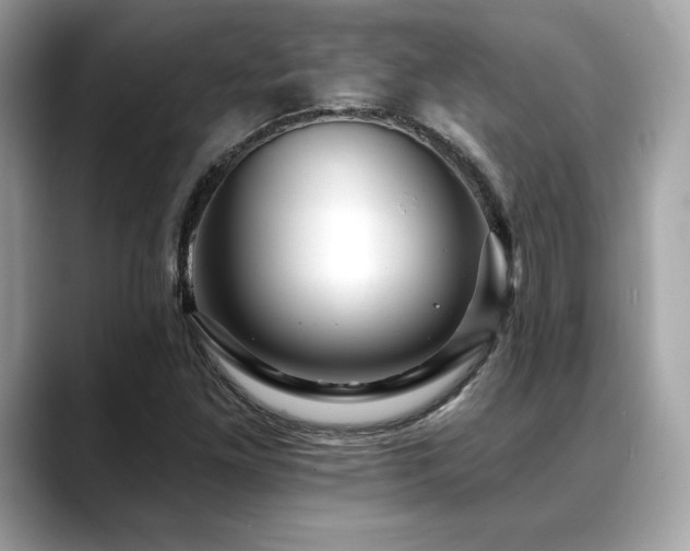 X0000088751261200705311505