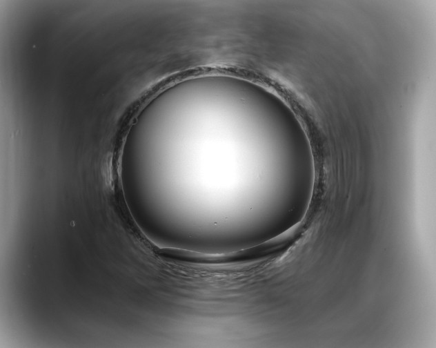 X0000088751262200705311505