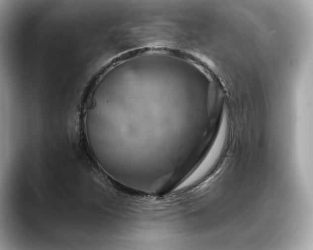 X0000088751263200705311505