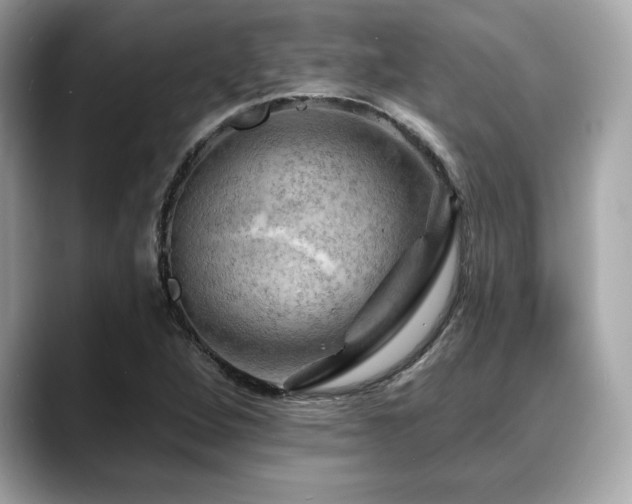 X0000088751264200705311505