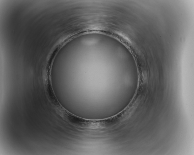 X0000088751266200705311505