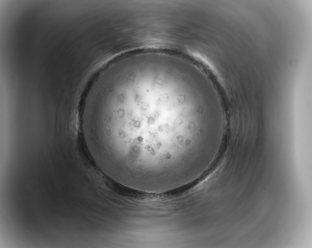 X0000088751267200705311505