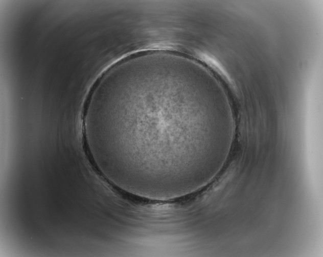 X0000088751268200705311505