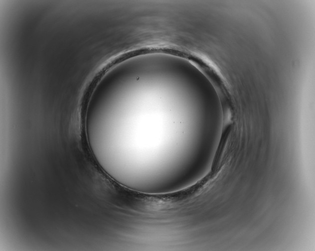 X0000088751270200705311505