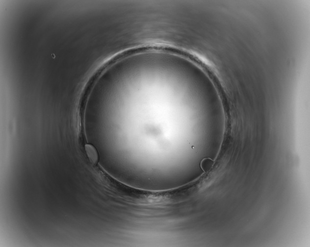 X0000088751271200705311505