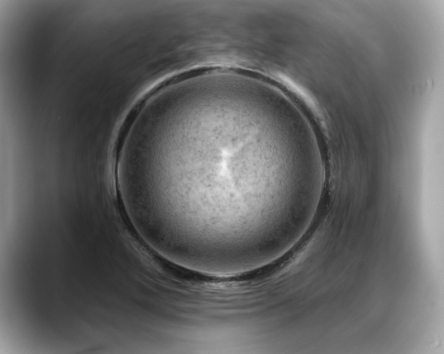 X0000088751272200705311505