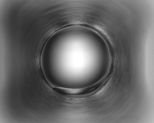 X0000088751273200705311505