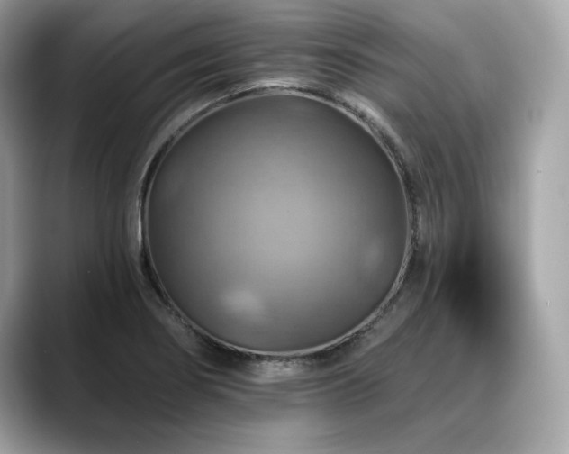 X0000088751274200705311505