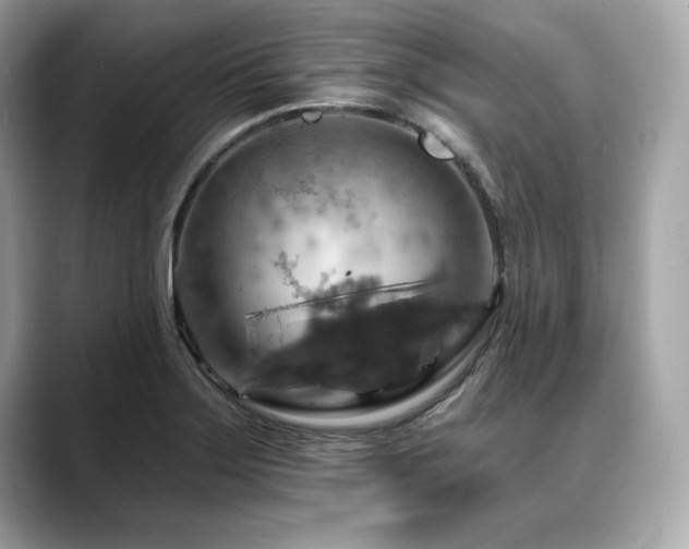X0000088751275200705311505