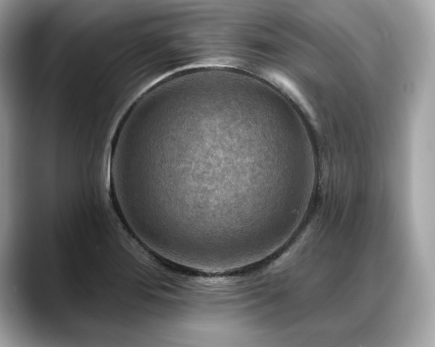 X0000088751276200705311505