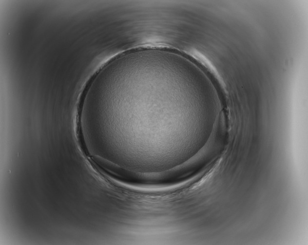 X0000088751277200705311505