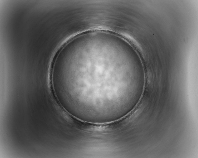 X0000088751278200705311505