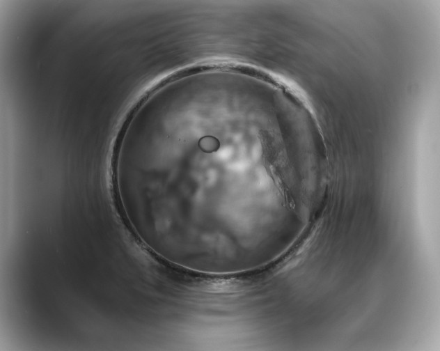 X0000088751279200705311505