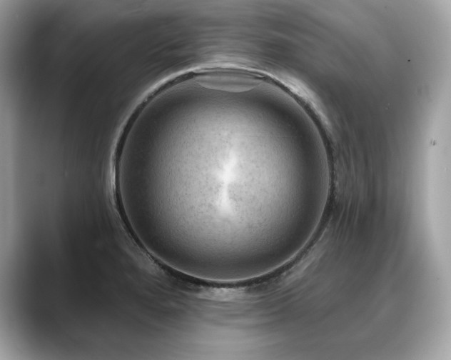 X0000088751280200705311505