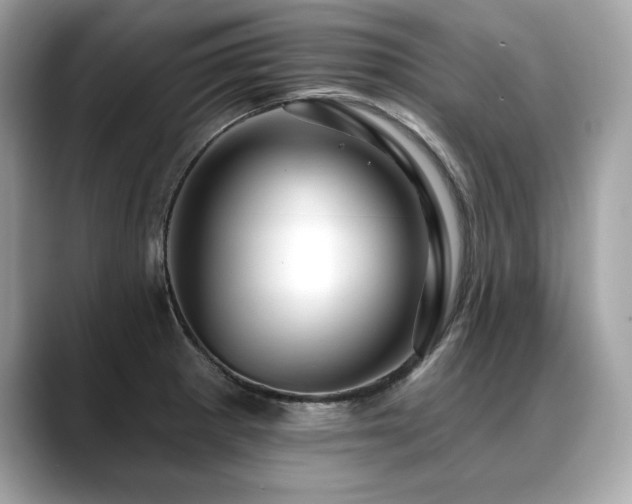 X0000088751281200705311505