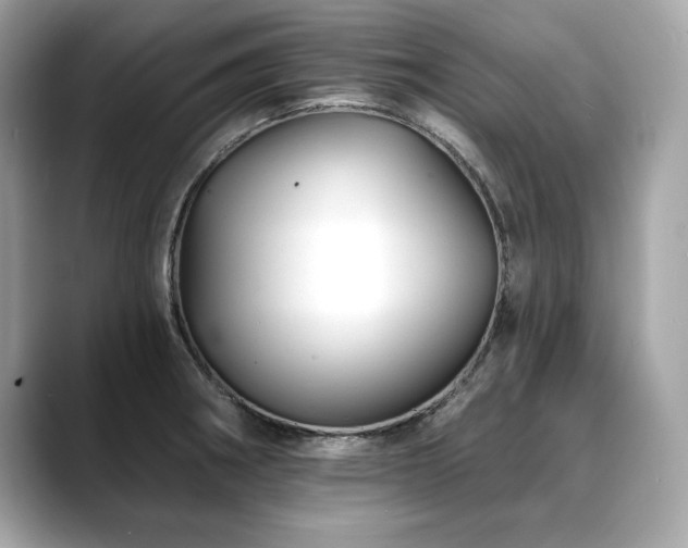 X0000088751282200705311505