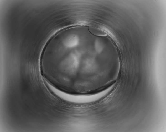X0000088751283200705311505