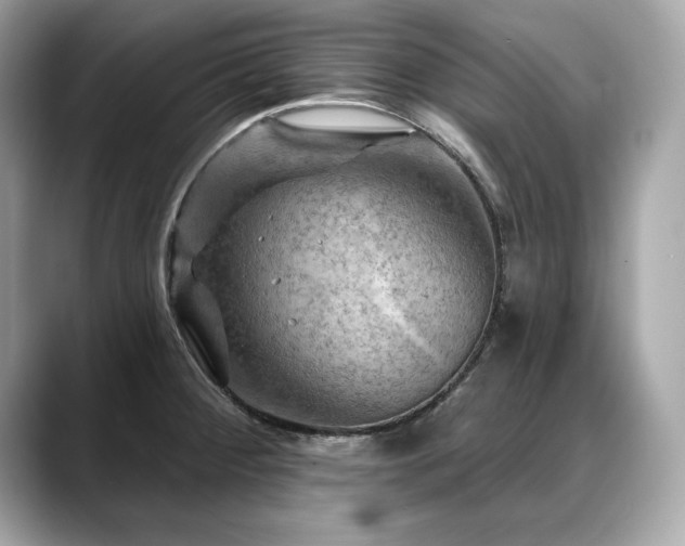 X0000088751284200705311505