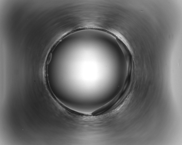 X0000088751285200705311505
