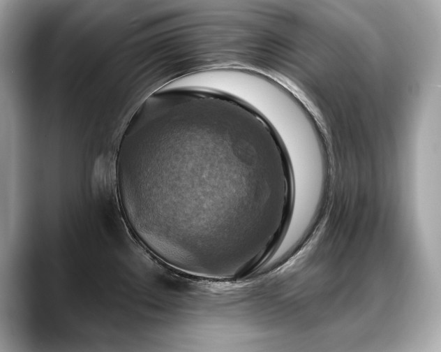 X0000088751289200705311505