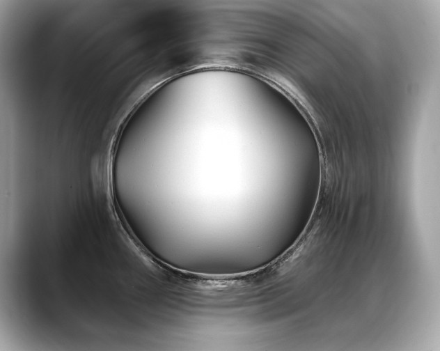 X0000088751290200705311505