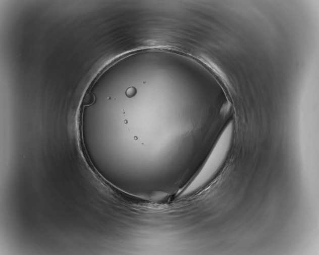 X0000088751291200705311505