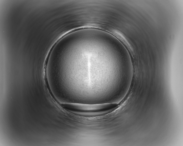 X0000088751292200705311505
