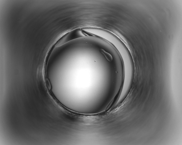 X0000088751293200705311505