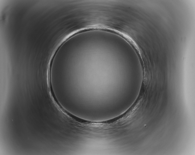 X0000088751295200705311505