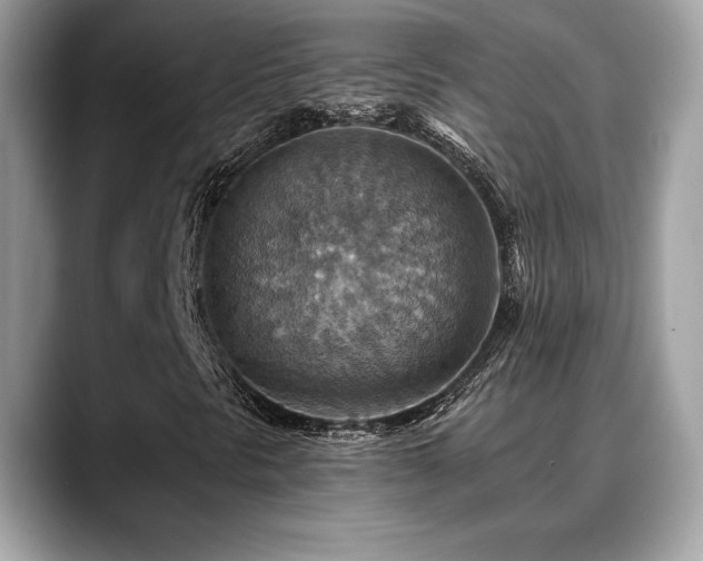 X0000088751297200705311504