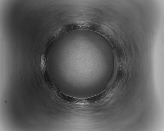 X0000088751298200705311504