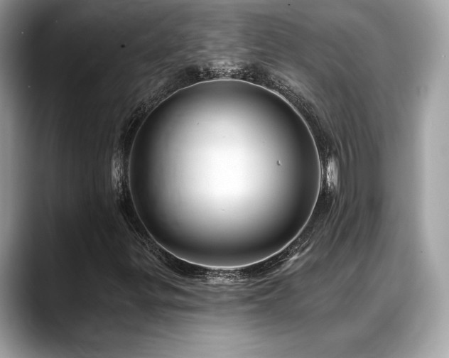 X0000088751299200705311504